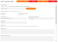 Edit content asset dialog